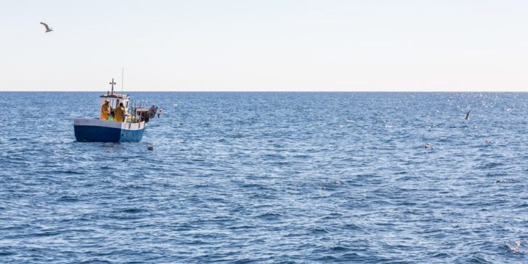Jornal Campeão: Governo quer Portugal a liderar na protecção e valorização económica dos oceanos