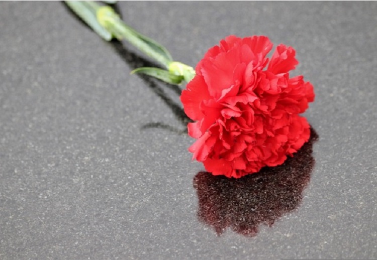 Jornal Campeão: Sondagem mostra reconhecimento do legado do 25 de Abril na sociedade portuguesa