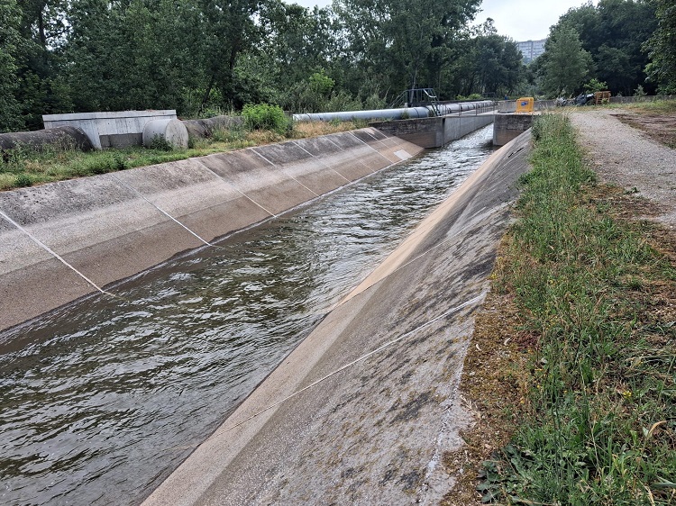 Jornal Campeão: APA aproveitou obra de dique no Mondego para intervir no canal de rega