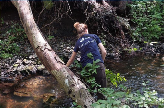 Jornal Campeão: OneAquaHealth promove debate sobre impacto dos ecossistemas ribeirinhos urbanos na saúde em Coimbra